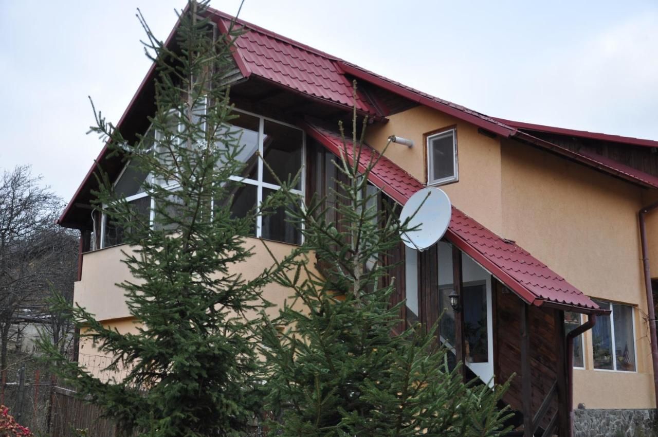 Гостевой дом Casa Sabina Pucioasa-4