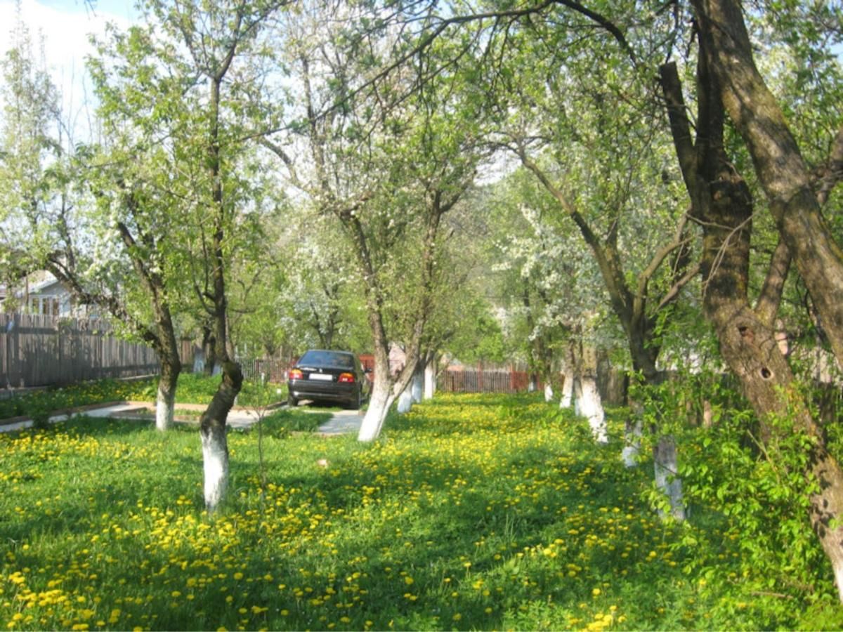 Гостевой дом Casa Sabina Pucioasa-20