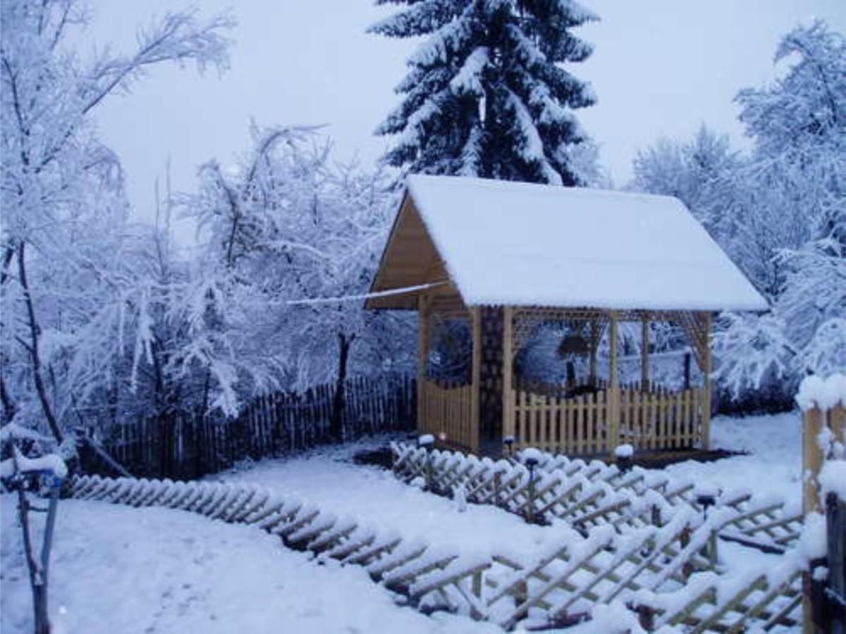 Гостевой дом Casa Sabina Pucioasa-30