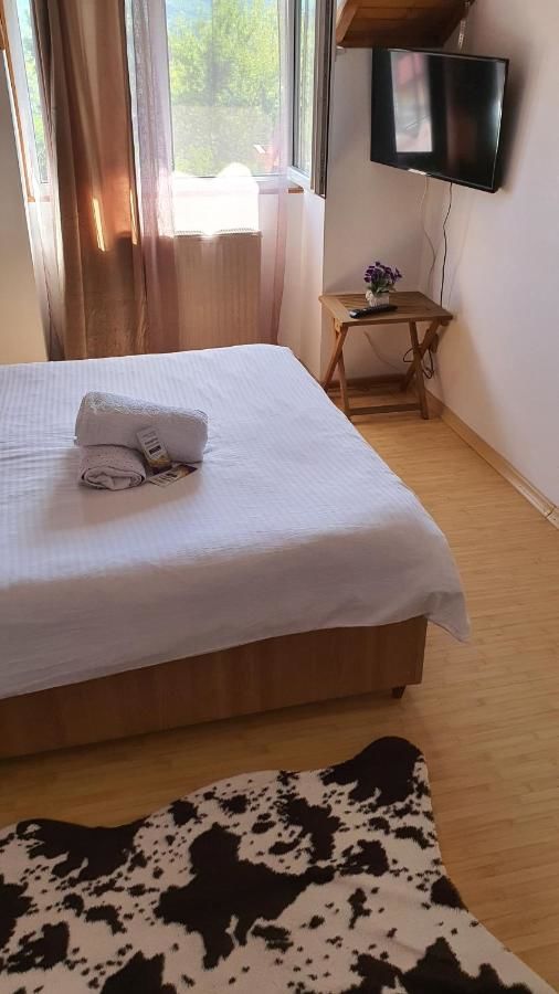 Гостевой дом Casa Sabina Pucioasa