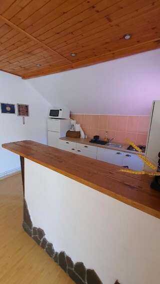 Гостевой дом Casa Sabina Pucioasa-7